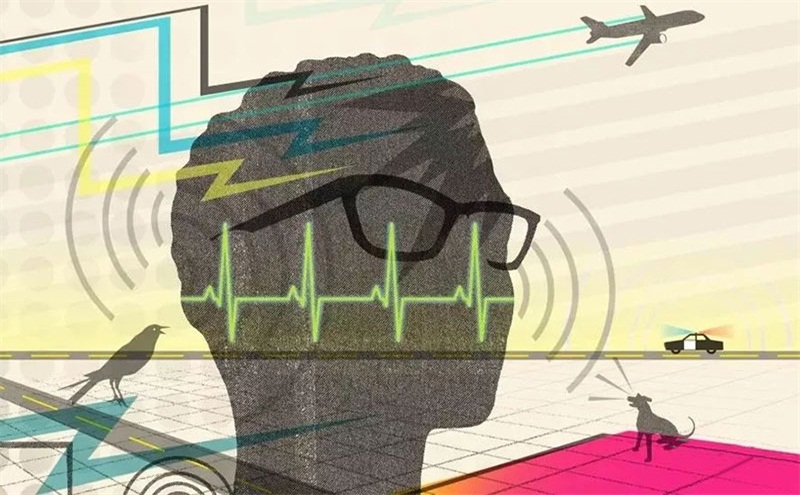 悲劇,聲學(xué)處理不好,噪音引發(fā)血案 悲劇,聲學(xué)處理不好,噪音引發(fā)血案