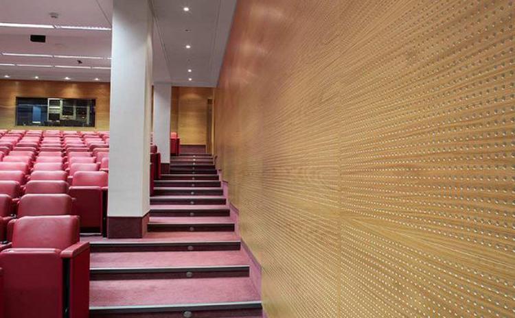 江西新余演講廳木質(zhì)穿孔吸音板聲學(xué)工程 江西新余演講廳木質(zhì)穿孔吸音板聲學(xué)工程